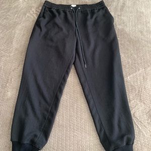 Aritzia Buffon Joggers Sweatpant Wilfred Large